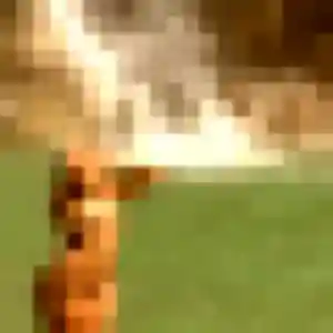 Photo de Elise à Le Pradet (42 ans) - plan cul sans inscription