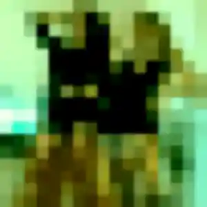 Gaia, 41 ans, disponible à Le Pré-Saint-Gervais pour une rencontre coquine