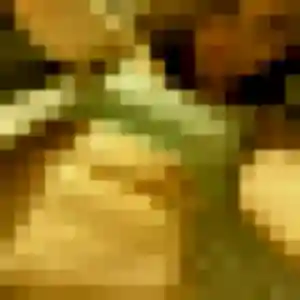 Melodie, 38 ans, cherche un plan cul à Le Puy-en-Velay