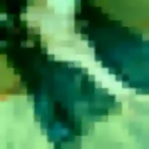 Charlotte (27 ans) à Le Puy-Sainte-Réparade propose une rencontre maintenant