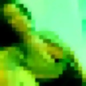 Photo exclusive de Olga, 23 ans à Le Rove - rencontre sans lendemain