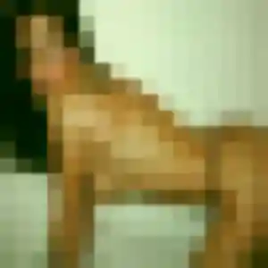 Rencontre Margot, 43 ans à Le Thor gratuitement