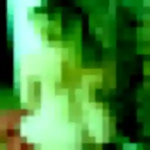 Photo exclusive de Camille, 30 ans à Léguevin - rencontre sans lendemain