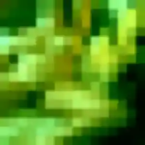 Corinne, femme de 26 ans cherche plan cul à Léognan