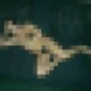 Yvette, 23 ans, disponible à Les Arcs pour une rencontre coquine