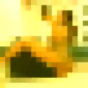 Jessica, 43 ans, veut un plan cul à Les Herbiers