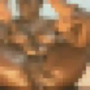 Charline, 20 ans, connectée à Les Pavillons-sous-Bois pour un plan cul