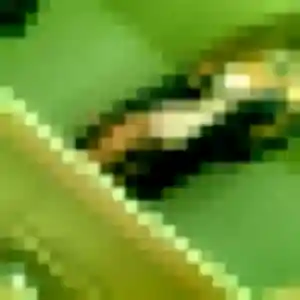 Profil de Justine à Les Pennes-Mirabeau (20 ans) - plan cul gratuit