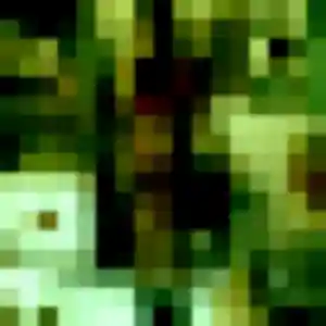 Leontine, 19 ans, veut un plan cul à Les Pennes-Mirabeau