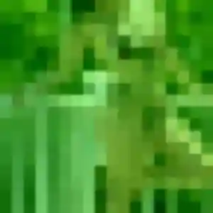 Profil de Dorothee à Les Ponts-de-Cé (29 ans) - plan cul gratuit