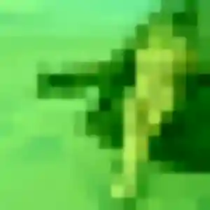 Contacte Bettina, 21 ans à Lesquin en privé