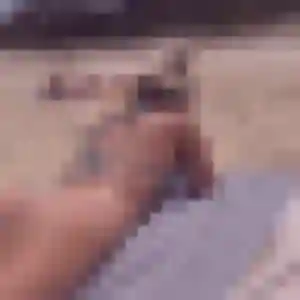 Profil de Clarisse à Lèves (35 ans) - plan cul gratuit