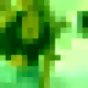 Wanda, femme de 26 ans cherche plan cul à Lieusaint