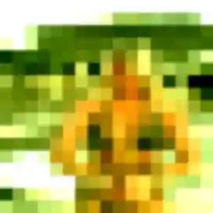 Profil de Zephyrine à Lieusaint (40 ans) - plan cul sans inscription