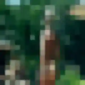 Photo sexy de Celia, 40 ans à Liffré - rencontre coquine