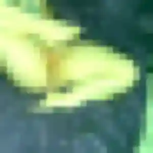 Sabrina, 25 ans, dispo pour plan cul à Limeil-Brévannes