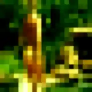 Iseult, femme de 33 ans veut plan cul à Limoux