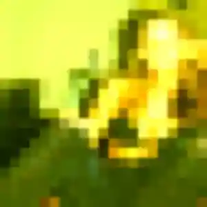 Clemence, 37 ans, cherche un plan cul à Lingolsheim