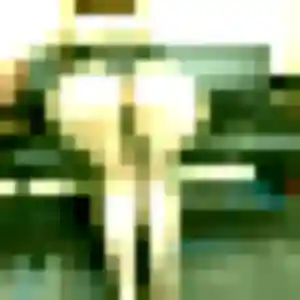 Rencontre Marie-Laure, 24 ans à Loison-sous-Lens en t'inscrivant