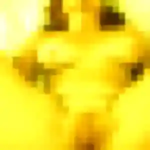 Jolie Uranie, 24 ans à Loison-sous-Lens - voir sa photo