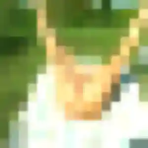 Découvre Virginie, 36 ans à Longvic en privé