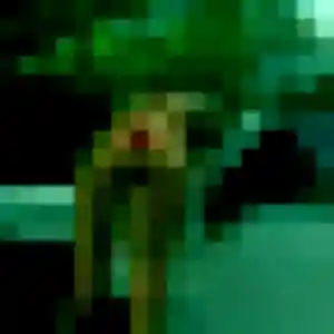 Profil de Rebecca à Loos (28 ans) - plan cul gratuit