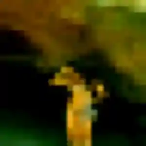 Charmante Fleur, 41 ans à Lorient - découvrir son profil