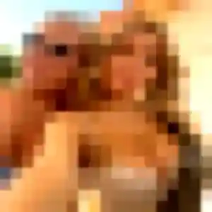 Photo de Marie-Ange à Lorient (35 ans) - plan cul gratuit