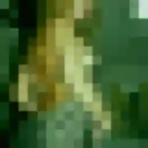 Sexy Leila, 38 ans à Lormont - voir sa photo