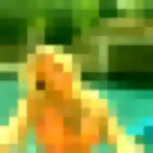 Rencontre Sylviane, 27 ans à Loudéac gratuitement