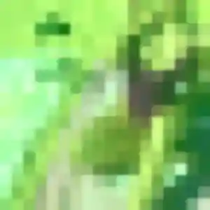 Sonia (45 ans) à Louvroil propose un plan cul maintenant