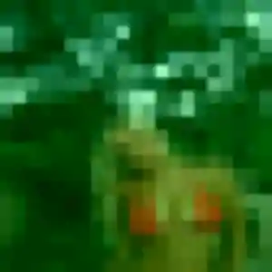 Benedicte, 24 ans, disponible à Luisant pour un plan cul