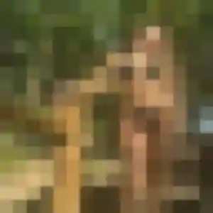 Sexy Jeanne, 39 ans à Lys-Haut-Layon - la contacter