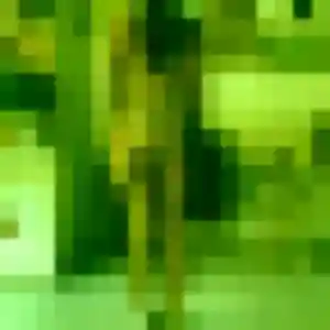 Photo perso de Lea, 29 ans à Lys-Haut-Layon - rencontre sans lendemain