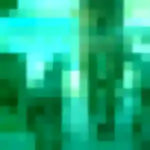 Charmante Anouk, 40 ans à Lys-lez-Lannoy - découvrir son profil