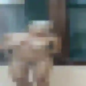 Stephanie, 23 ans, en ligne à M'Tsangamouji pour une rencontre coquine