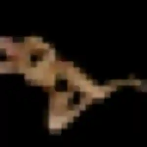 plan cul à Maen Roch : profil de Hyacinthe, 34 ans - inscription gratuite