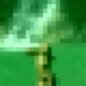 Photo sexy de Typhaine, 20 ans à Magny-en-Vexin - rencontre coquine