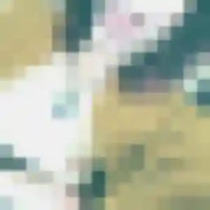 Coralie (29 ans) à Maisons-Alfort propose un plan cul maintenant