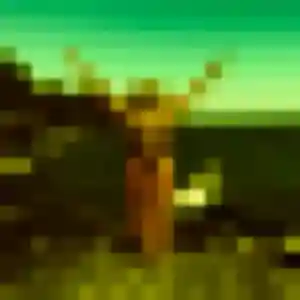 Olivia, 35 ans, disponible à Manduel pour un plan cul