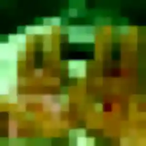 Photo de Urielle à Marcheprime (39 ans) - plan cul anonyme