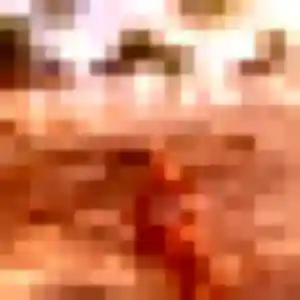 Charlotte (34 ans) à Marcq-en-Barœul propose un plan cul aujourd'hui