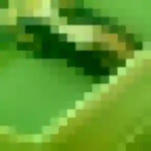 Idalina de Marennes-Hiers-Brouage, 36 ans - plan cul sans prise de tête