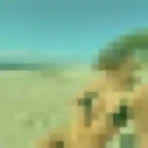 Belle Manon, 25 ans à Marignane - voir sa photo
