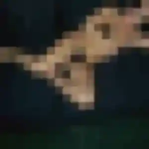 plan cul à Massy : profil de Erika, 25 ans - inscription gratuite