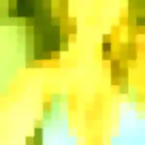 Photo exclusive de Sylvie, 20 ans à Maurepas - rencontre sans lendemain