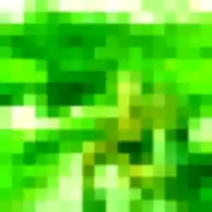 Sexy Ines, 29 ans à Mazan - découvrir son profil