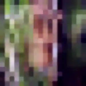 Photo sexy de Yvette, 45 ans à Mazingarbe - rencontre sans lendemain