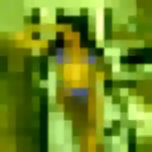 Phoebe, 21 ans, disponible à Melesse pour un plan cul