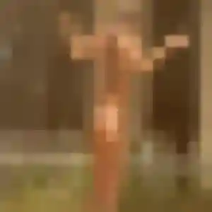 Photo privée de Clementine, 44 ans à Melle - rencontre sans lendemain